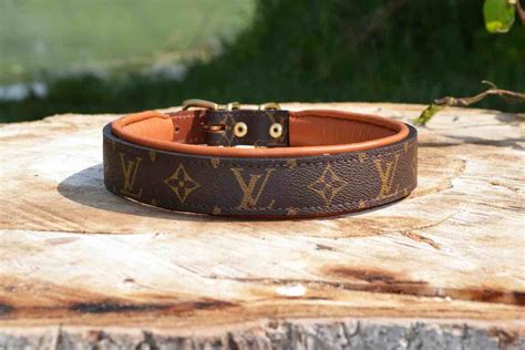 lv puppy collar|louis vuitton dog collar small.